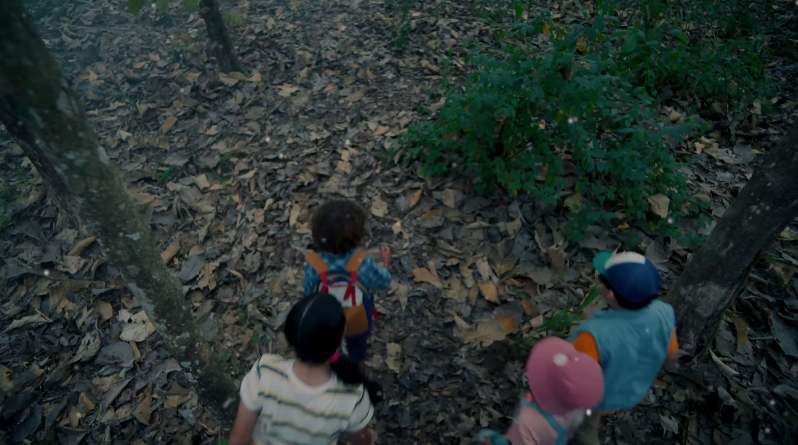 a group of kids walking through a forest