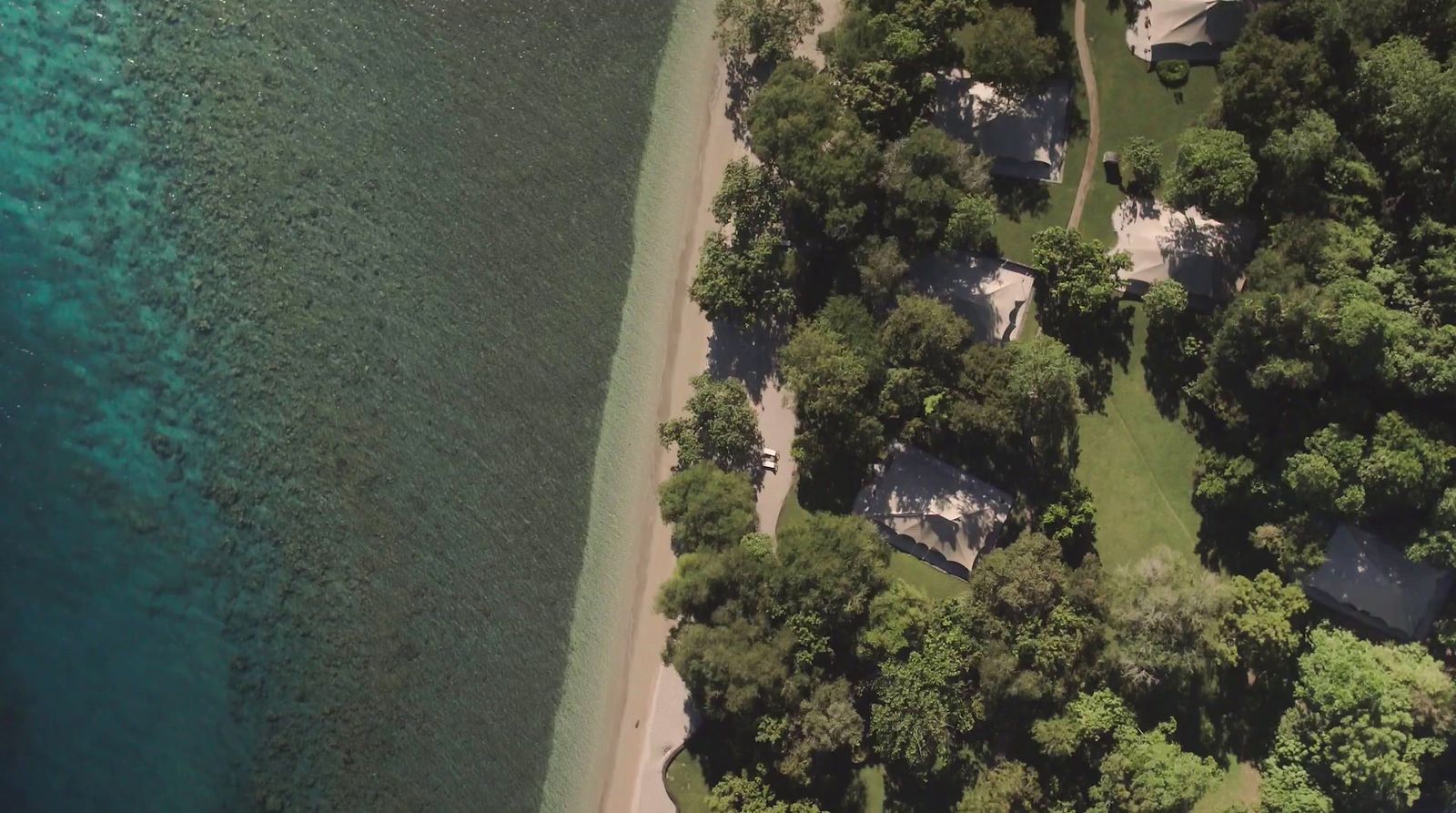 an aerial view of a beach with houses and trees