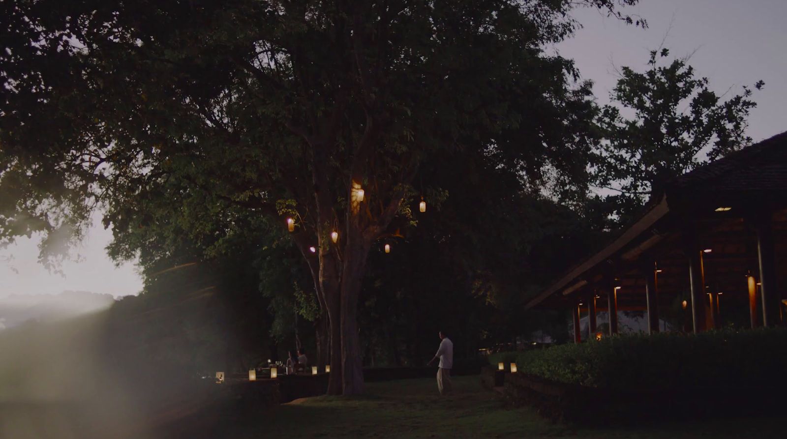 a person walking down a path next to a tree