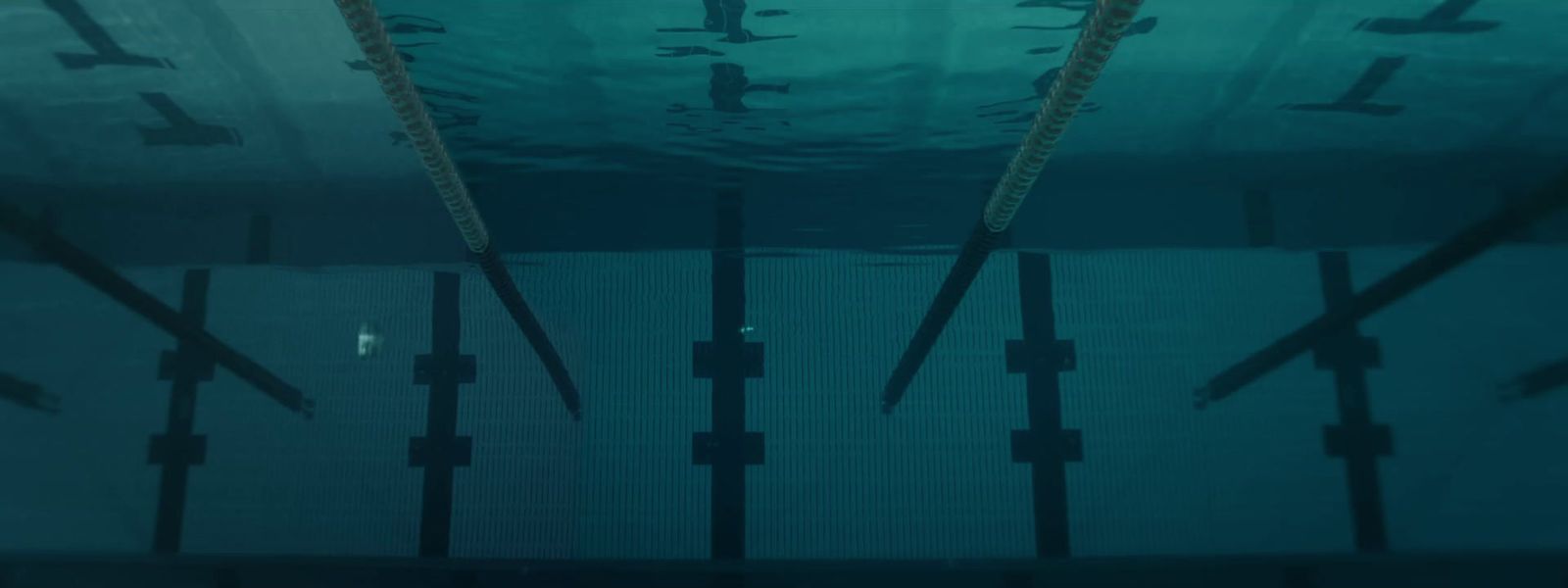 an underwater view of a swimming pool with a lot of sticks sticking out of the