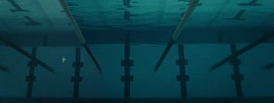 an underwater view of a swimming pool with a lot of sticks sticking out of the