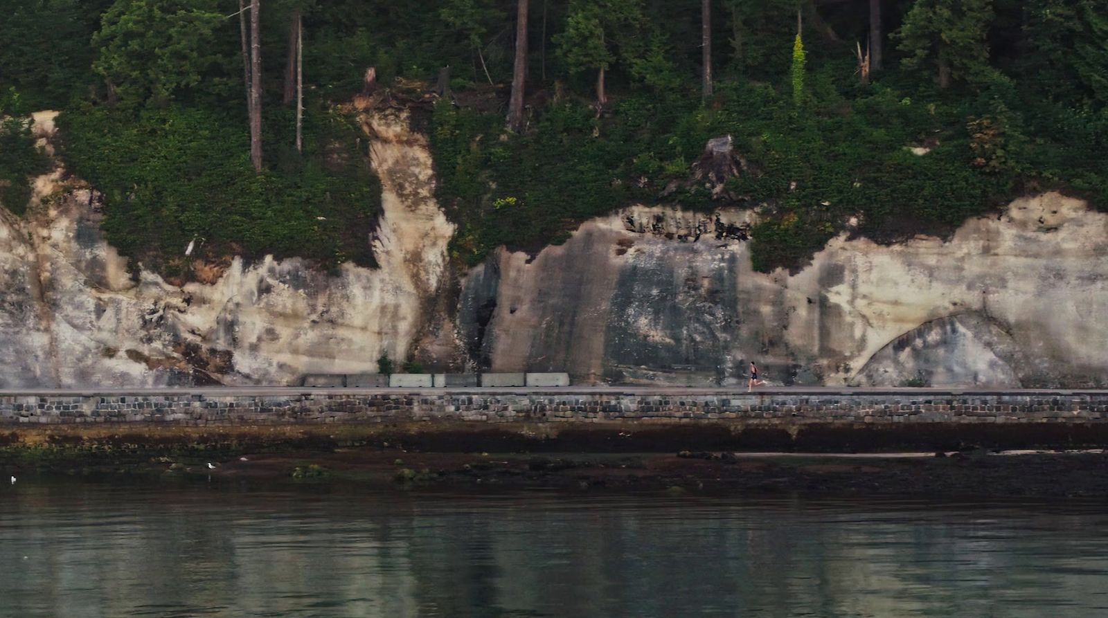 a train on a track next to a cliff