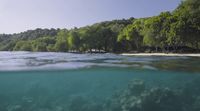 a body of water with trees in the background