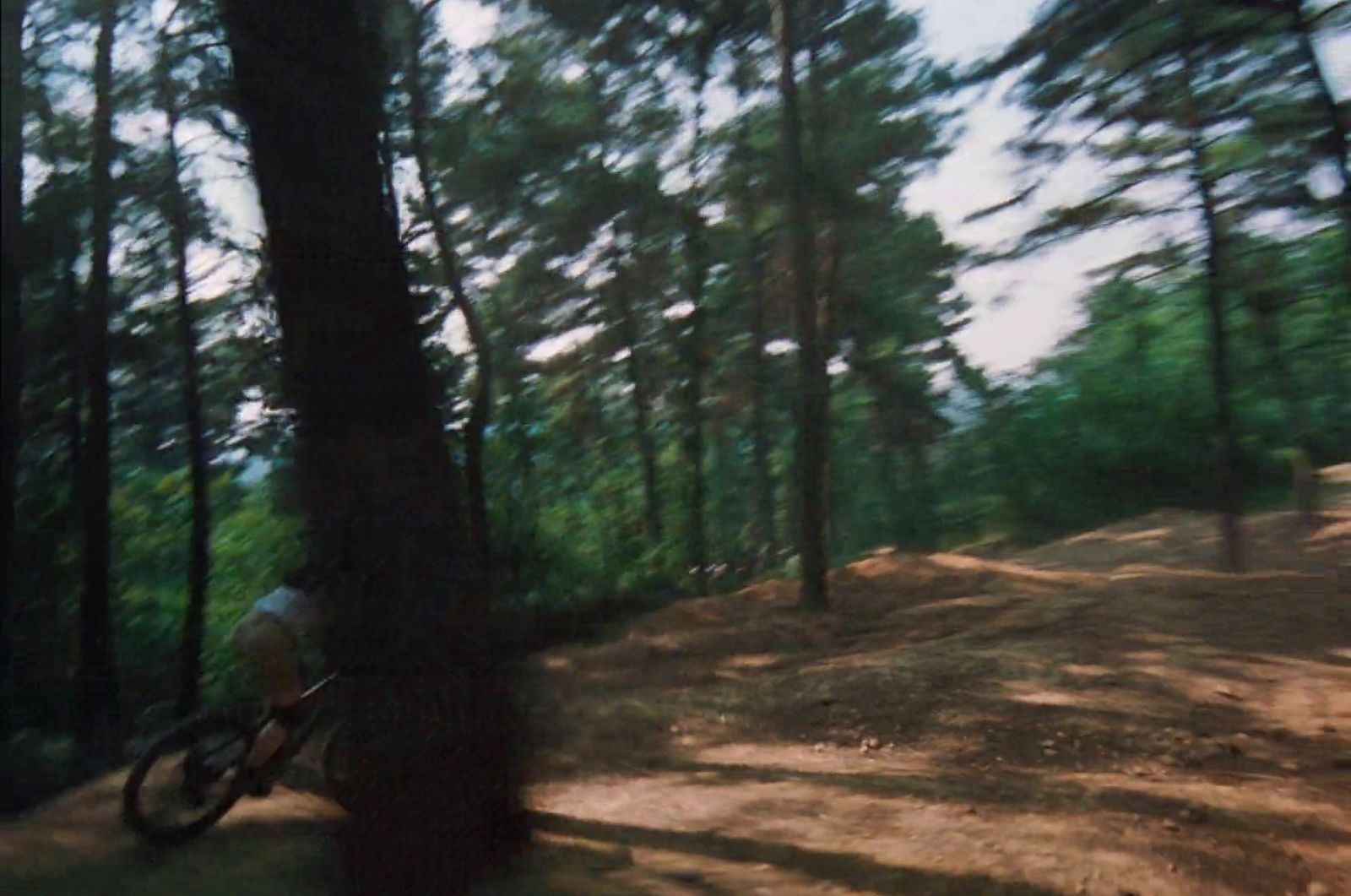 a blurry photo of a person riding a bike in the woods