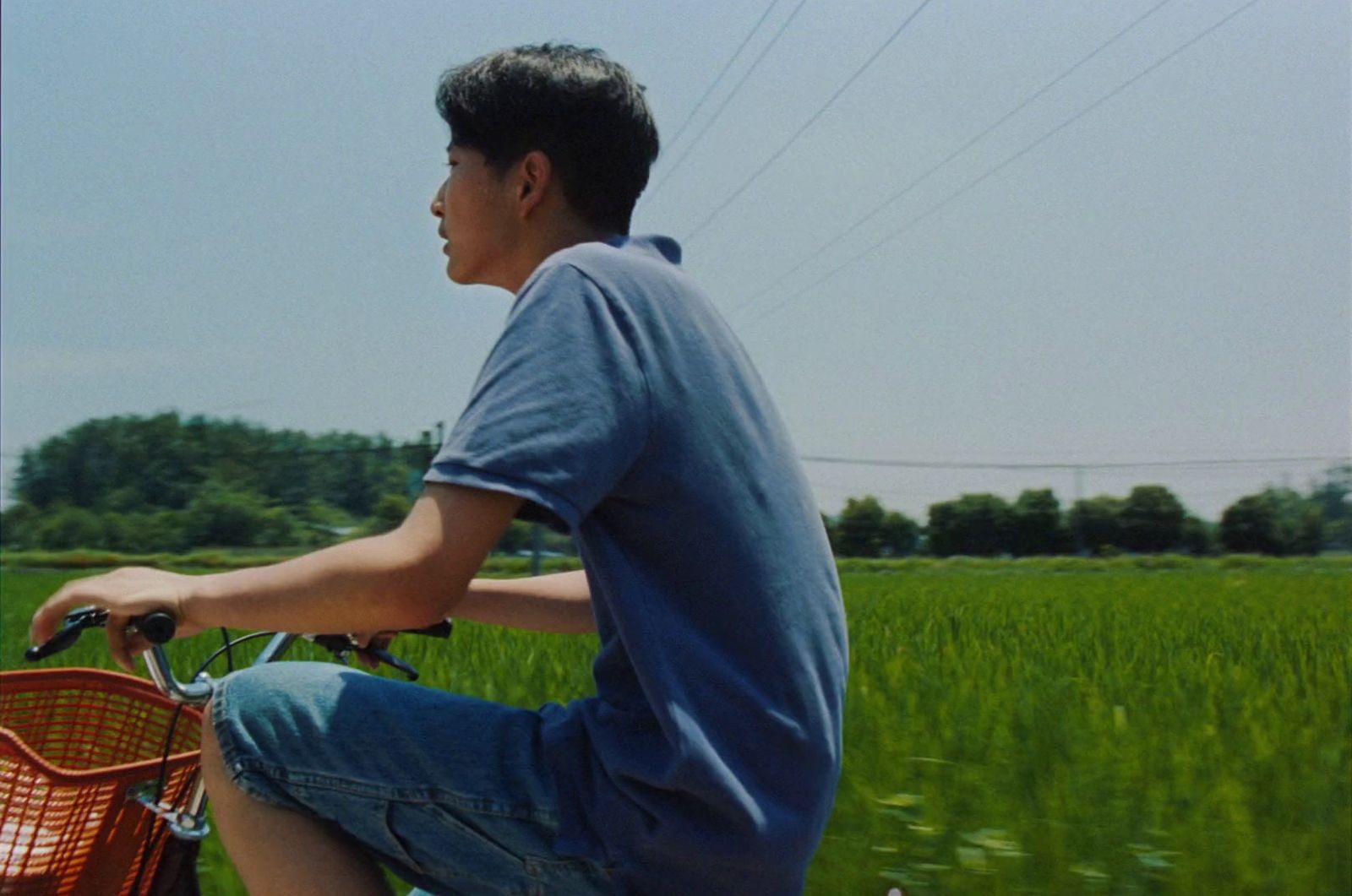 a man riding a bike through a green field