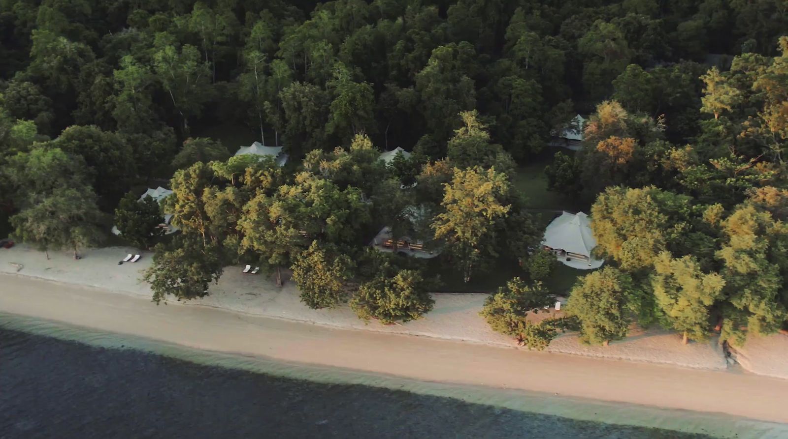 an aerial view of a beach with trees surrounding it