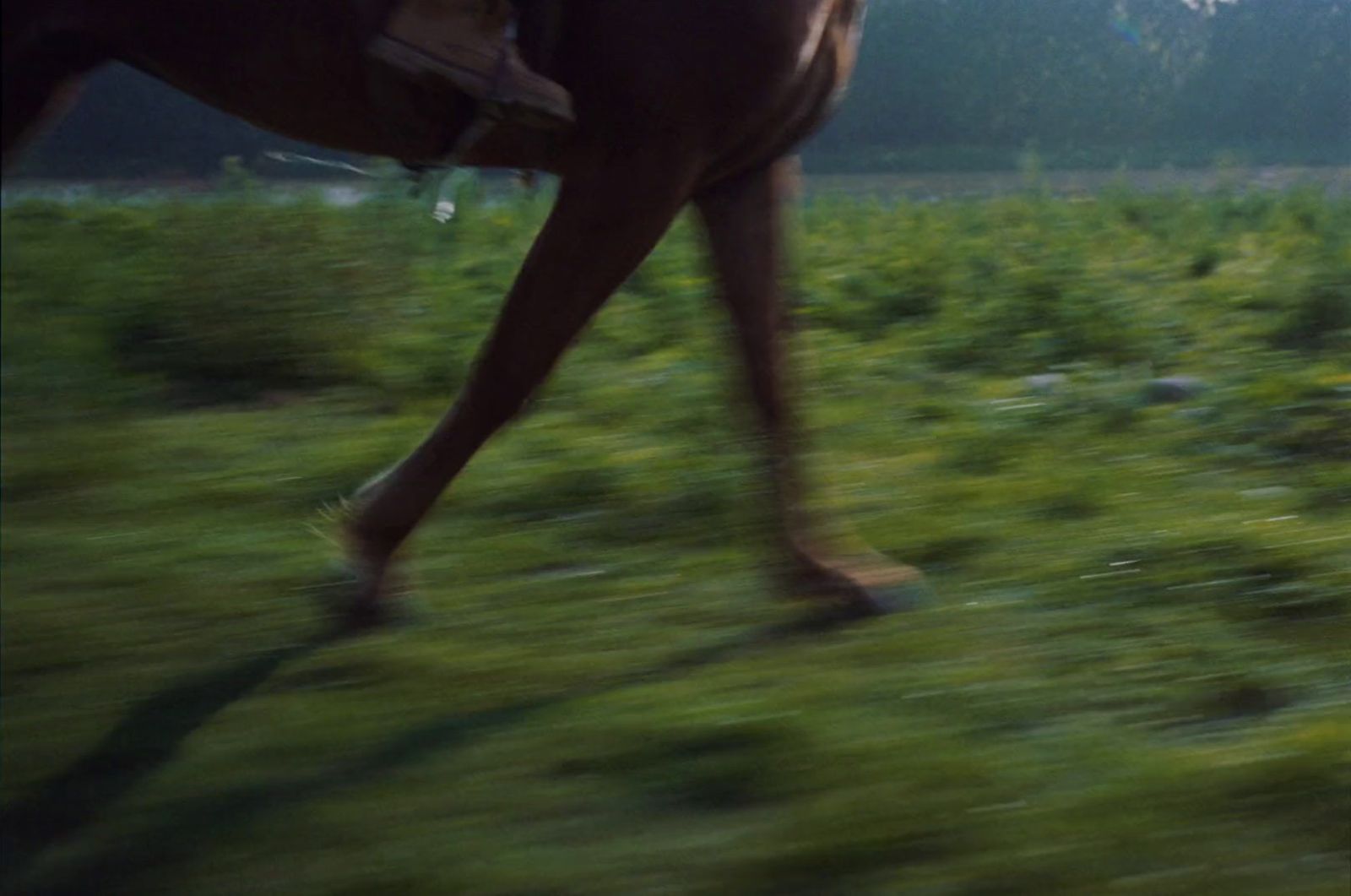 a blurry photo of a person riding a horse