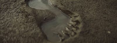 a small puddle of water in the sand