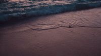 a wave is coming in to the shore of a beach