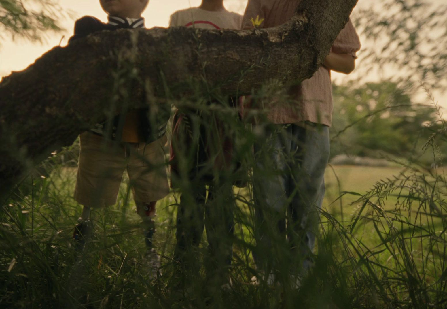 a couple of people standing next to a tree