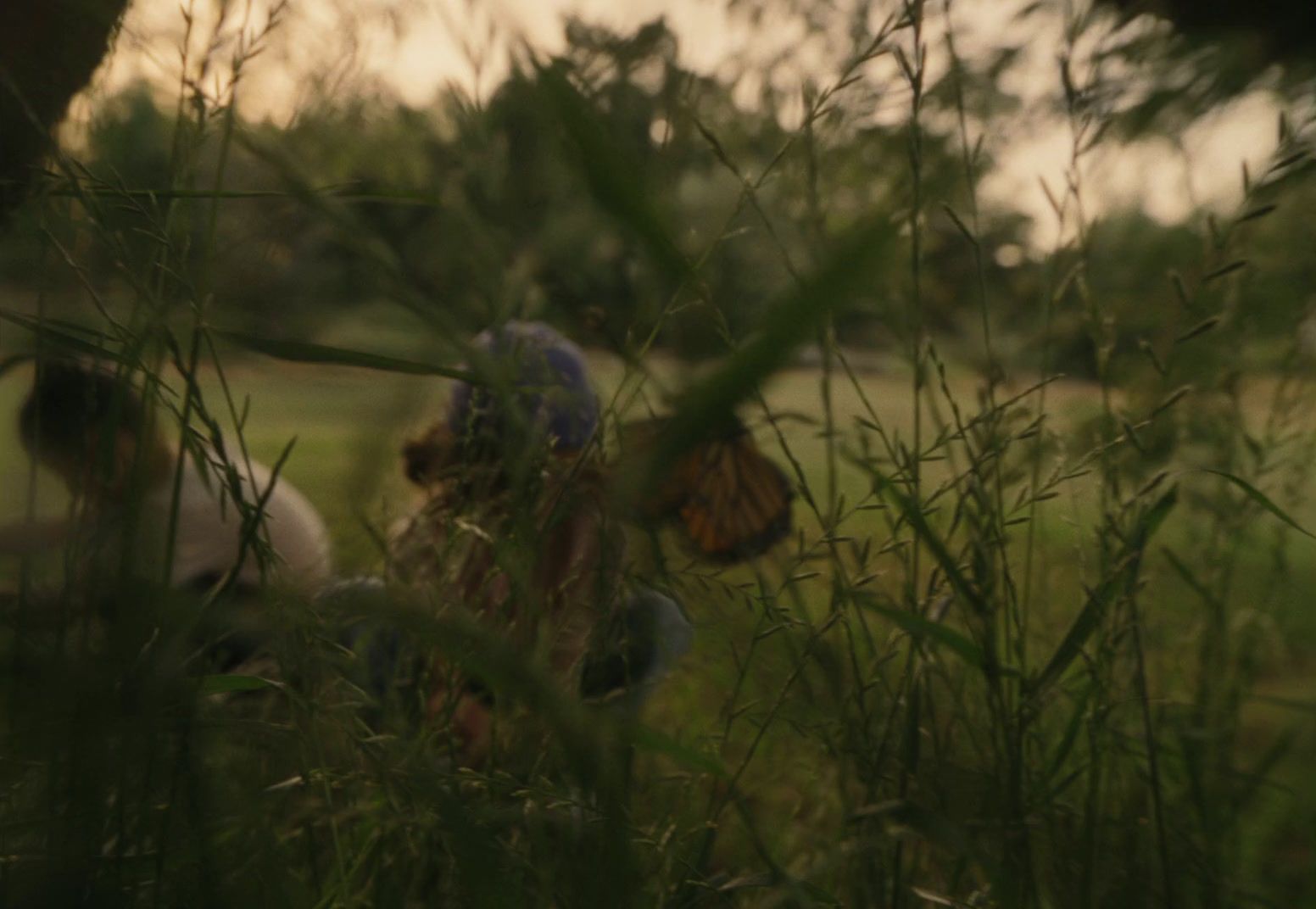 a blurry photo of a person in a field