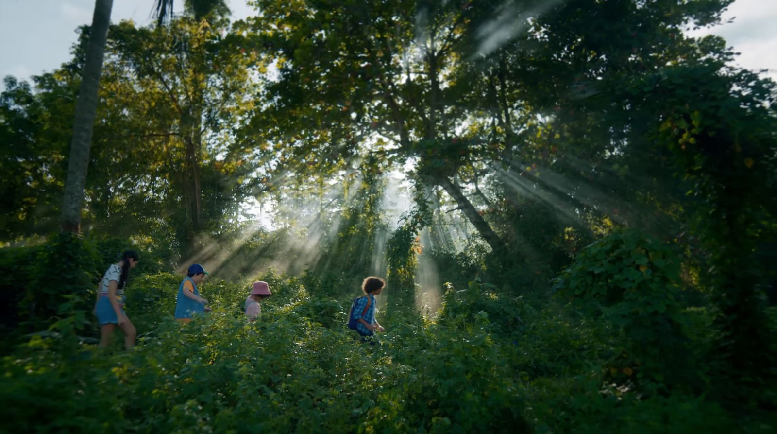 a group of people walking through a lush green forest