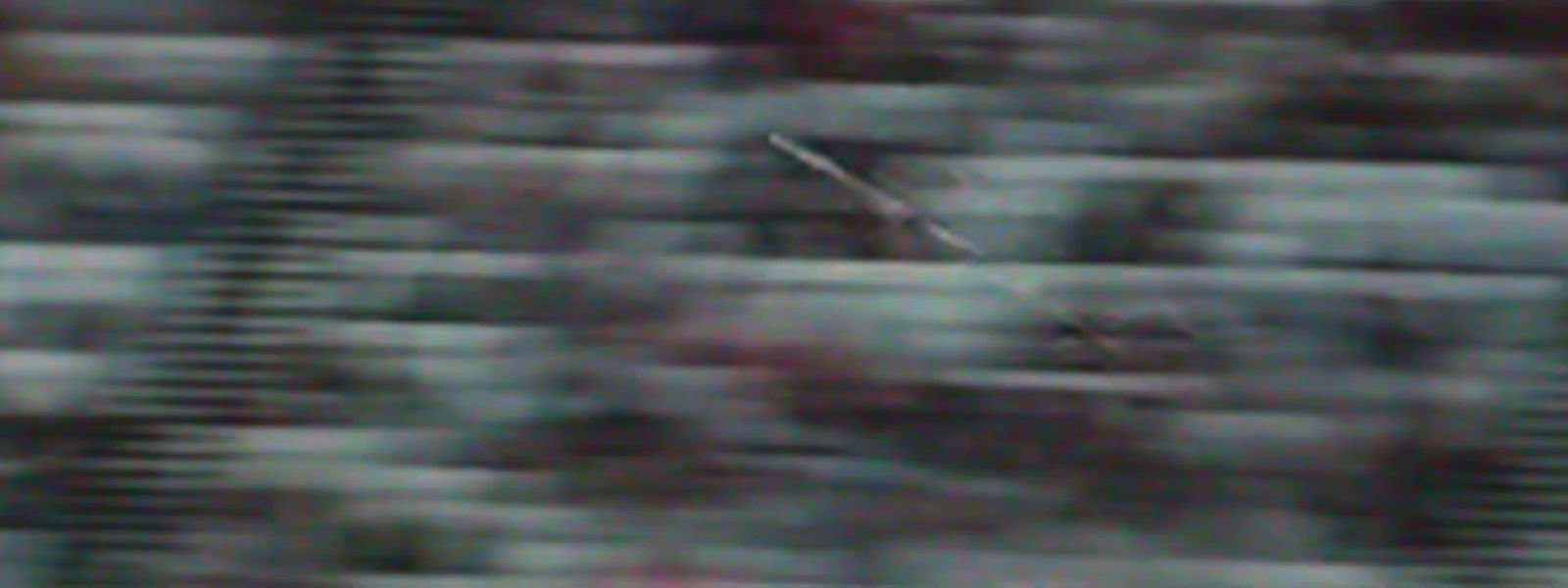 a blurry photo of a bird flying in the air