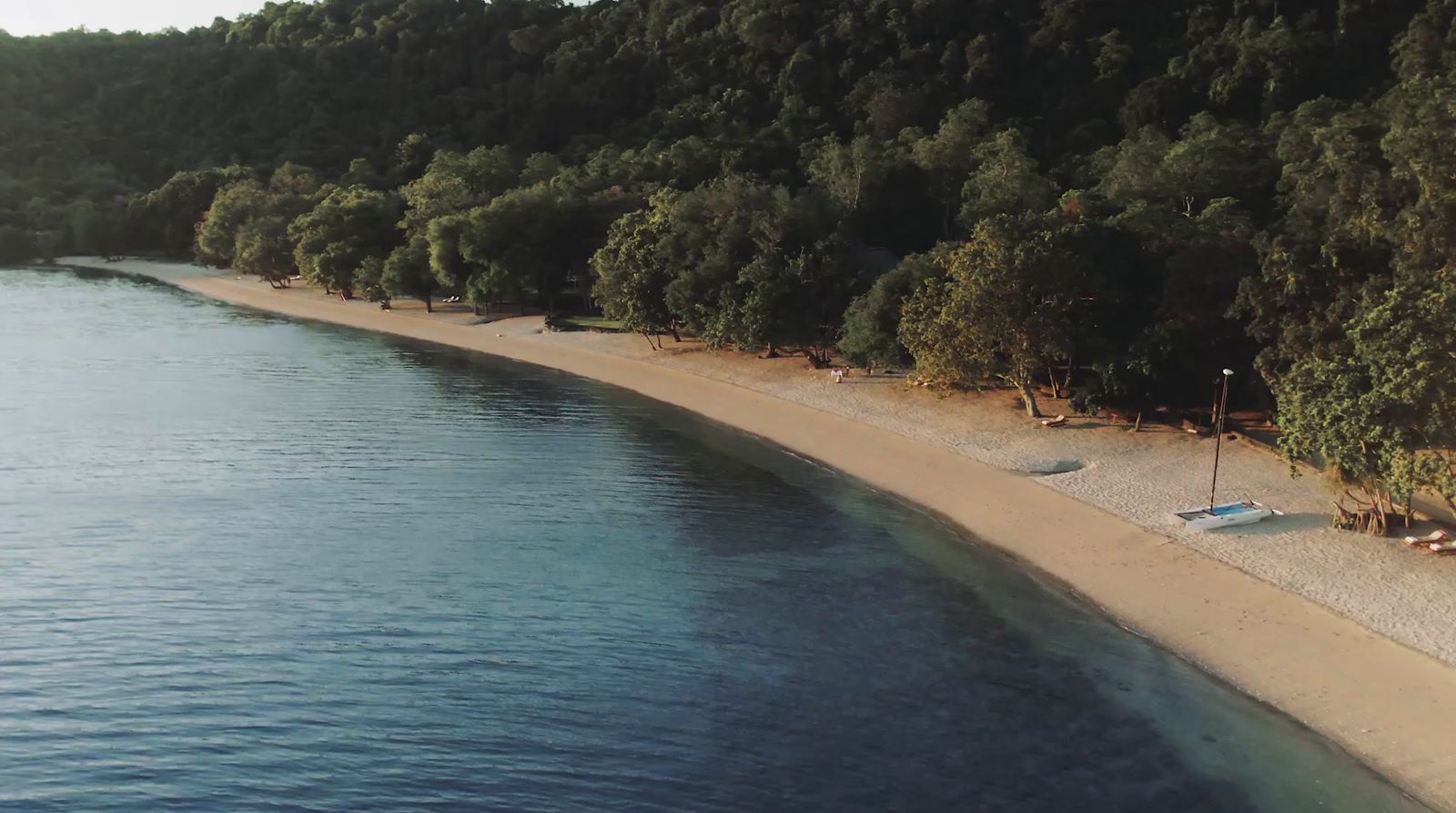 a sandy beach next to a forest covered hillside