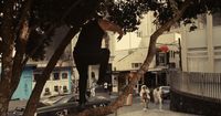 a skateboarder doing a trick on a tree