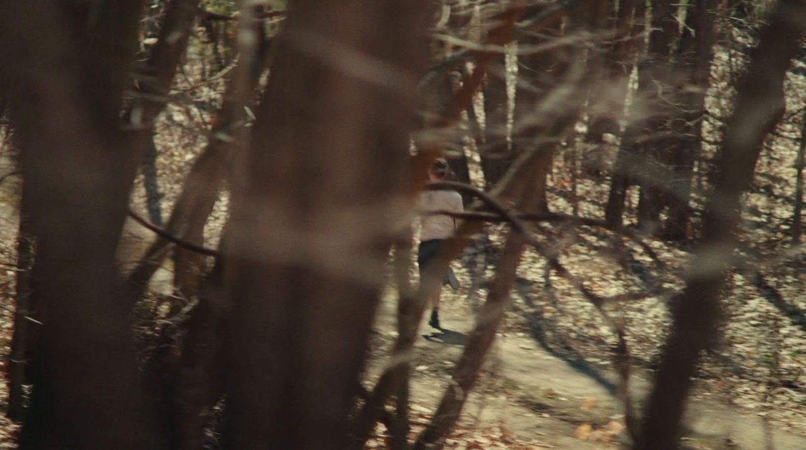 a person riding a bike through a forest