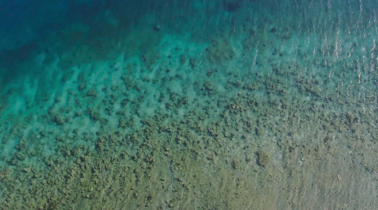 a bird's eye view of a beach and ocean