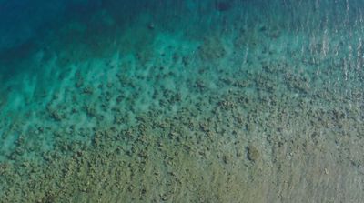 a bird's eye view of a beach and ocean