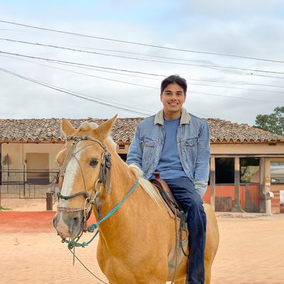 a man riding on the back of a brown horse