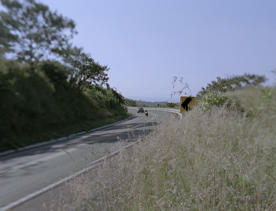 a car driving down a road next to tall grass