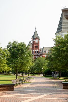 a clock tower in the background of a brick walkway