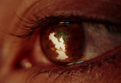 a close up of a person's eye with the reflection of a tree in