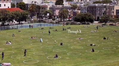 a group of people sitting on top of a lush green field