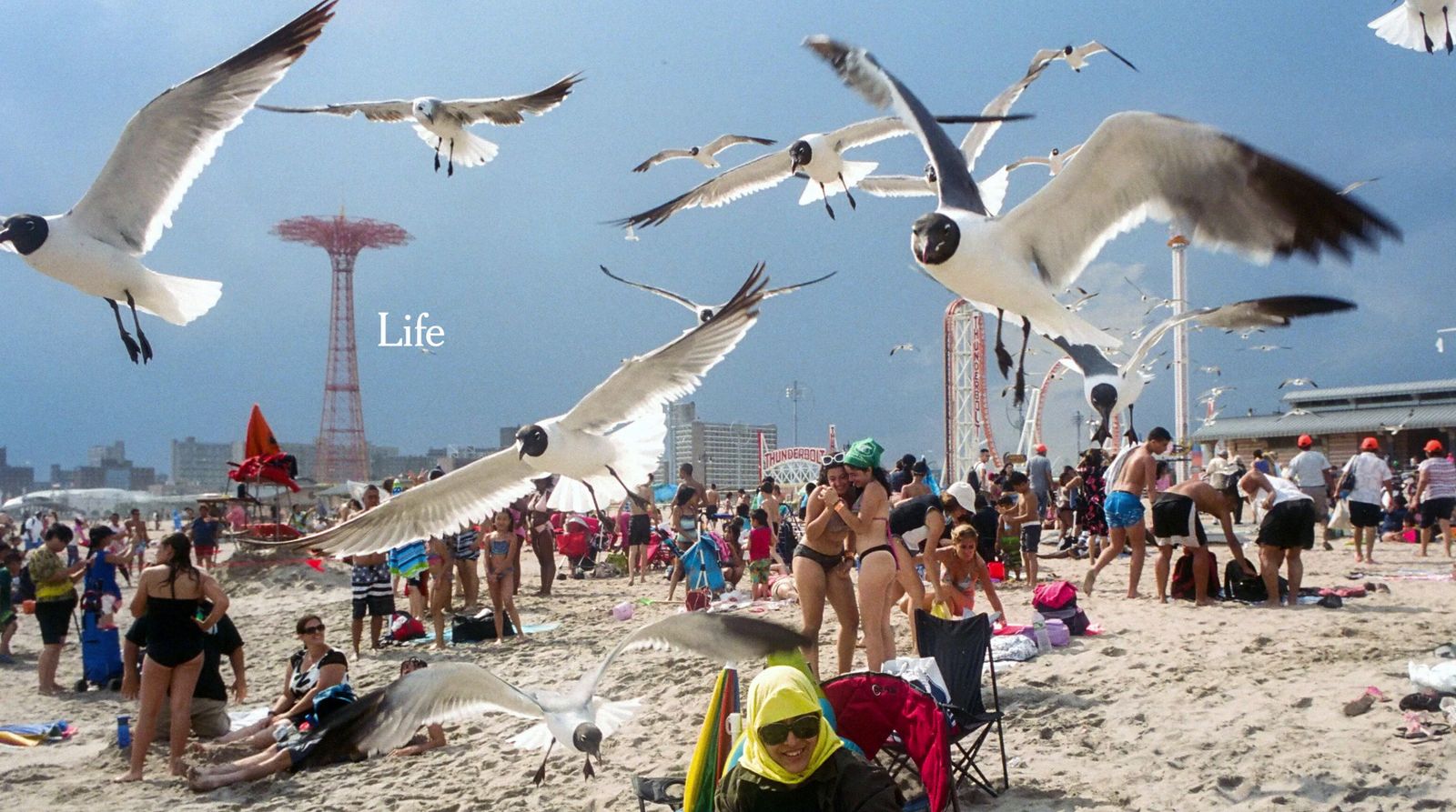 a group of people on a beach with seagulls flying over them