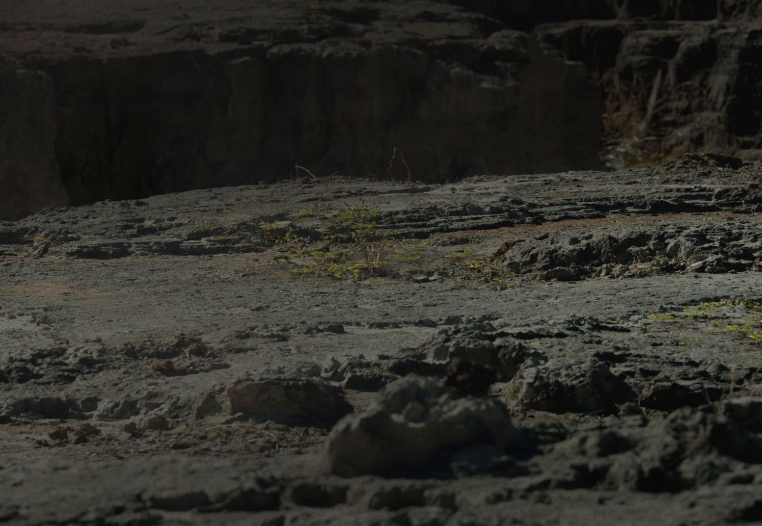 a bird is standing on the rocks near the water