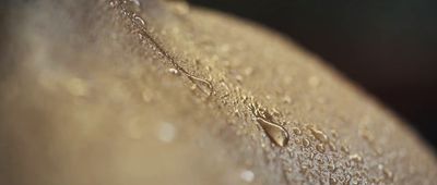 a close up of a banana with water drops on it