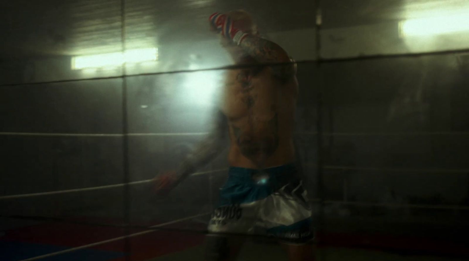 a reflection of a boxer in a mirror