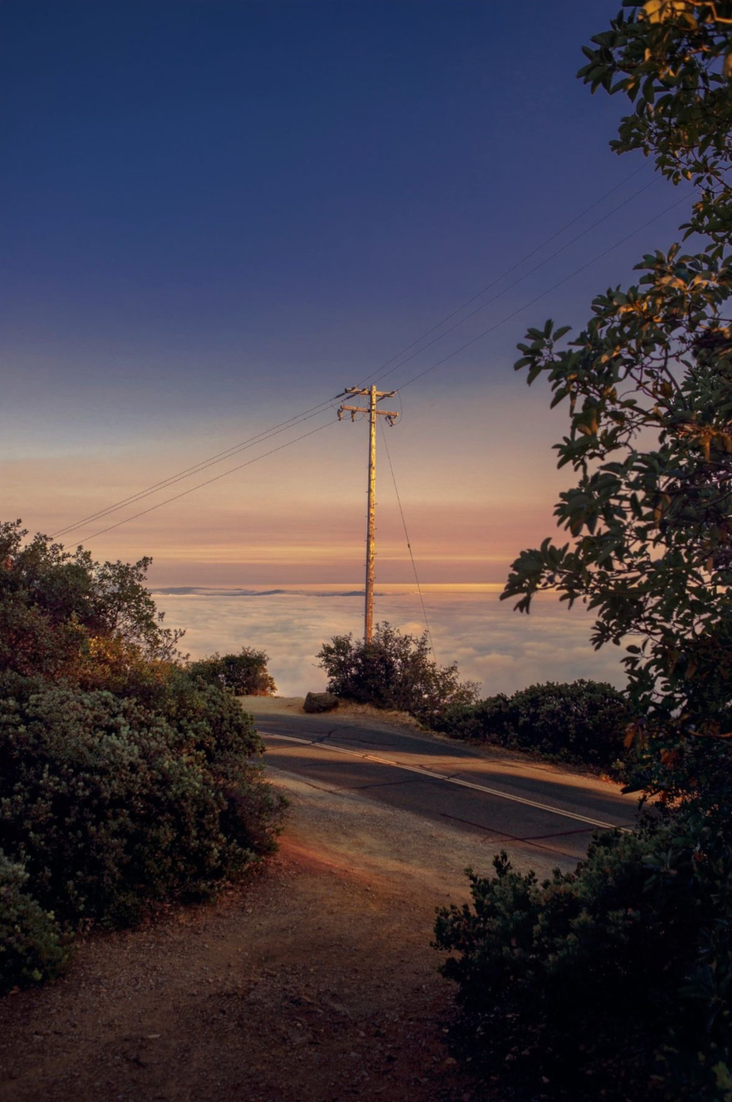 a dirt road with a telephone pole in the distance