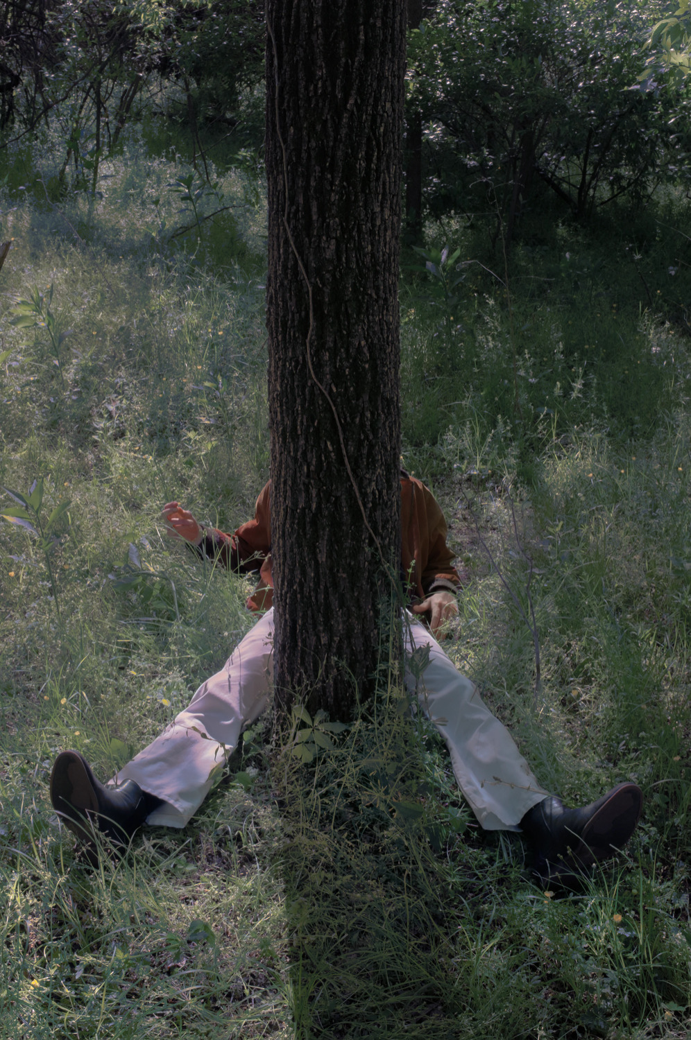 a man laying on the ground under a tree