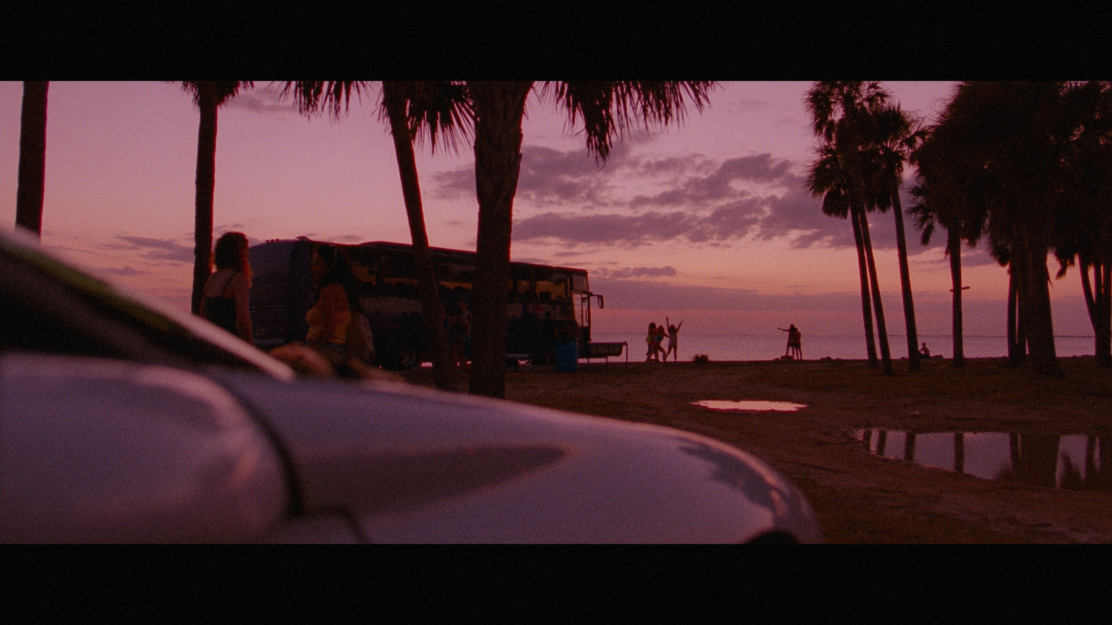 a bus parked on the side of a road next to palm trees