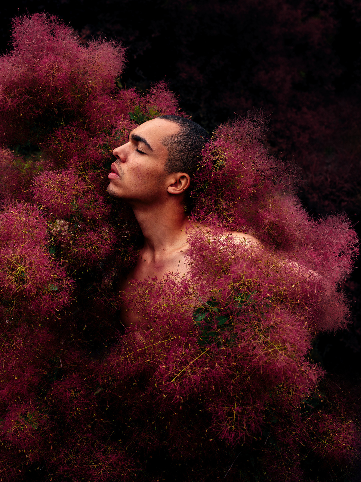 a man standing in a field of purple flowers