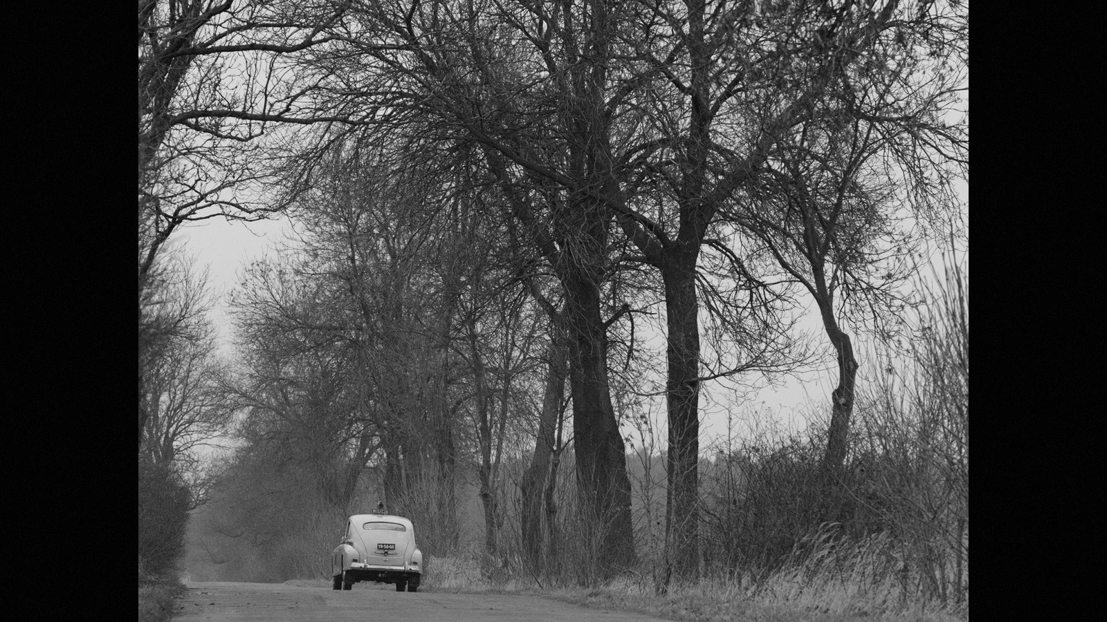 a white van driving down a road next to trees