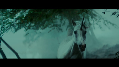 a white horse standing next to a tree