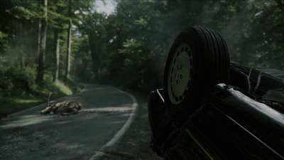 a dead animal laying on the side of a road