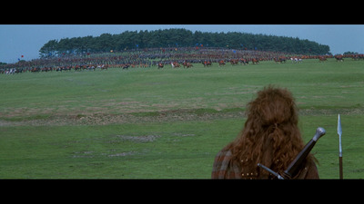 a large group of people standing on top of a lush green field