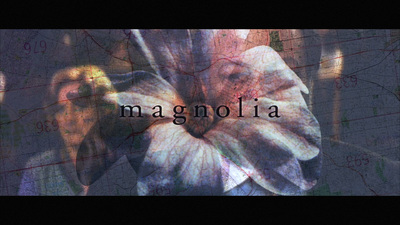 a picture of a flower with the word magnolia on it