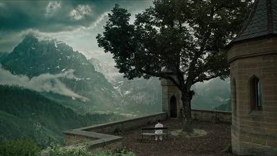 a person sitting on a bench under a tree