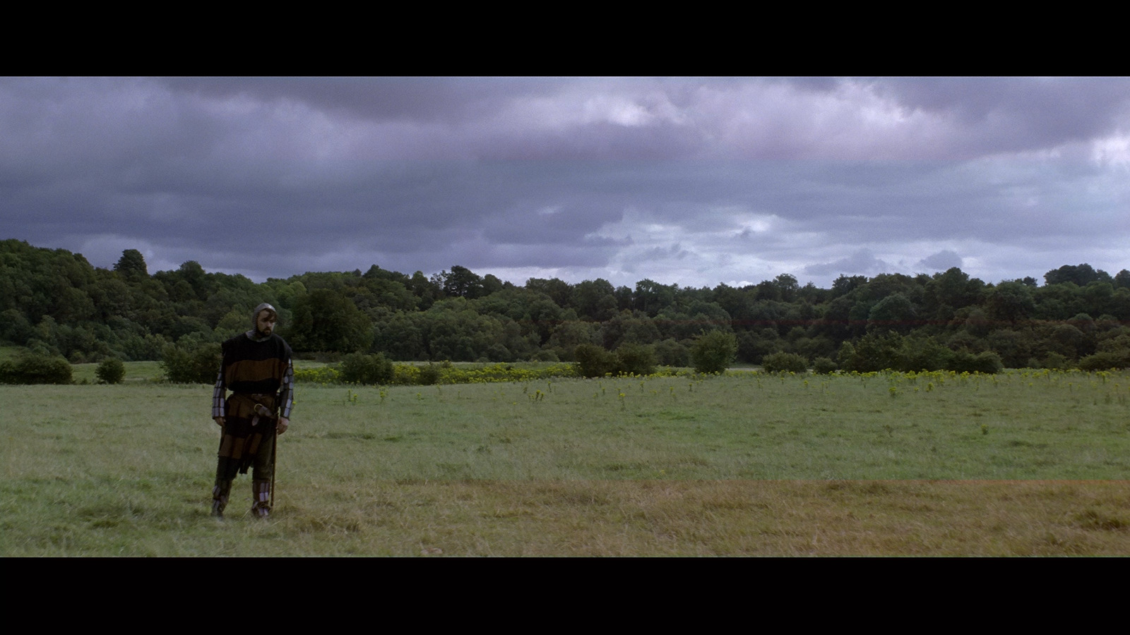 a man standing in a field with trees in the background