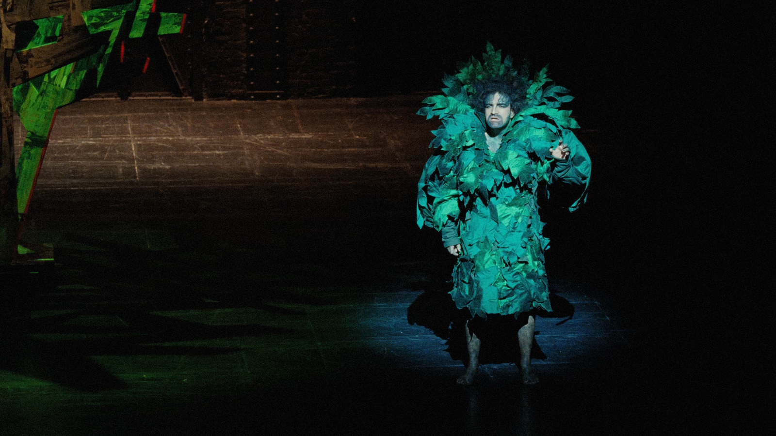 a woman in a green costume on a stage