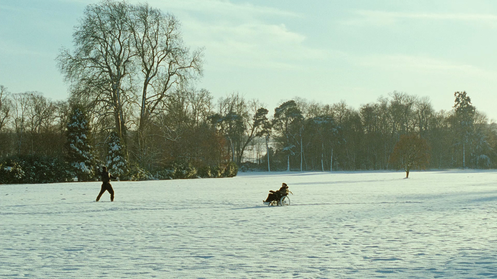 a person riding a sled pulled by a dog in the snow