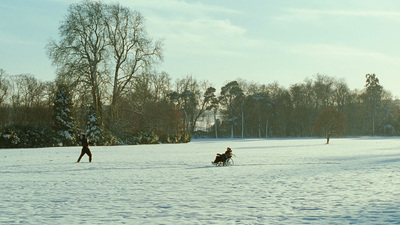 a person riding a sled pulled by a dog in the snow