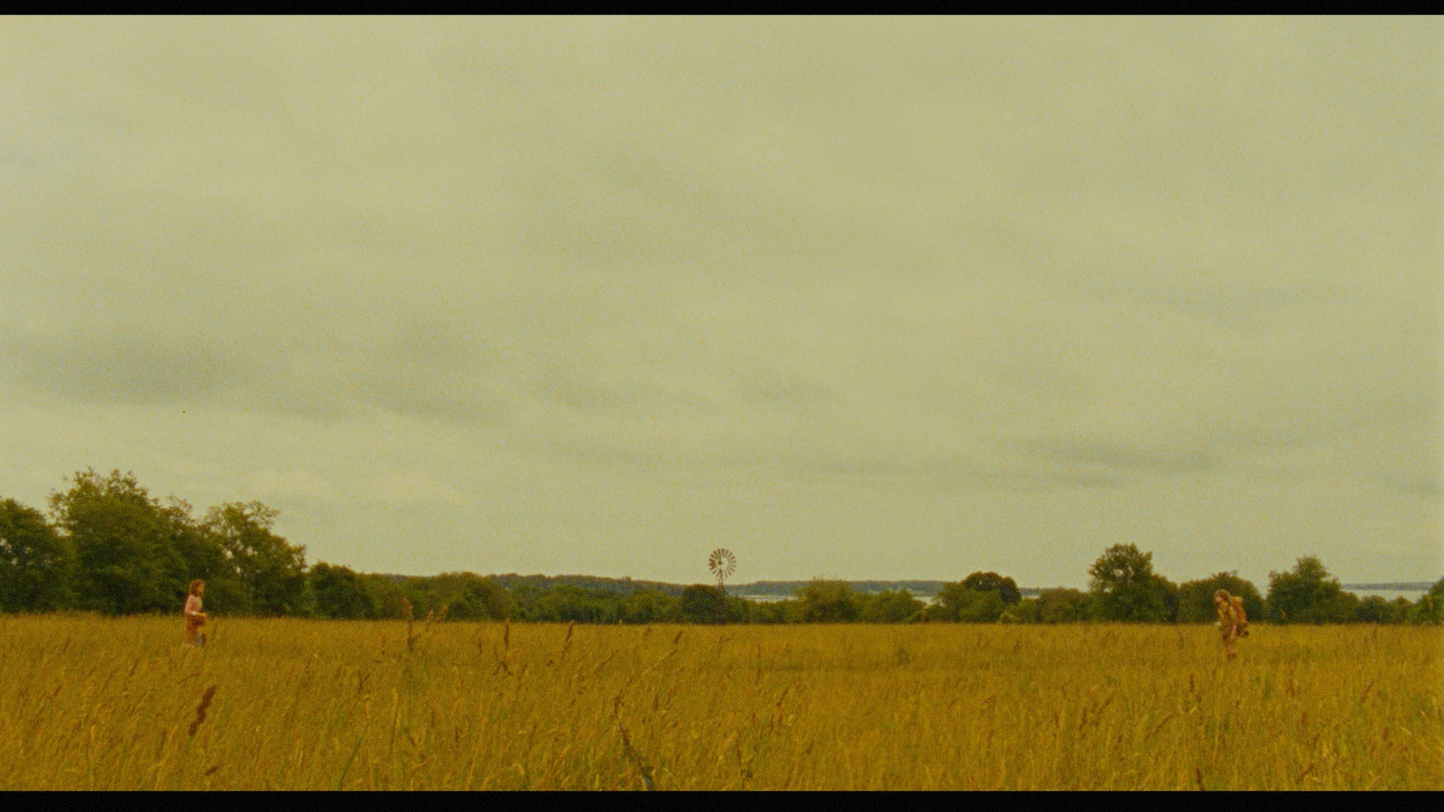 a couple of people flying a kite in a field