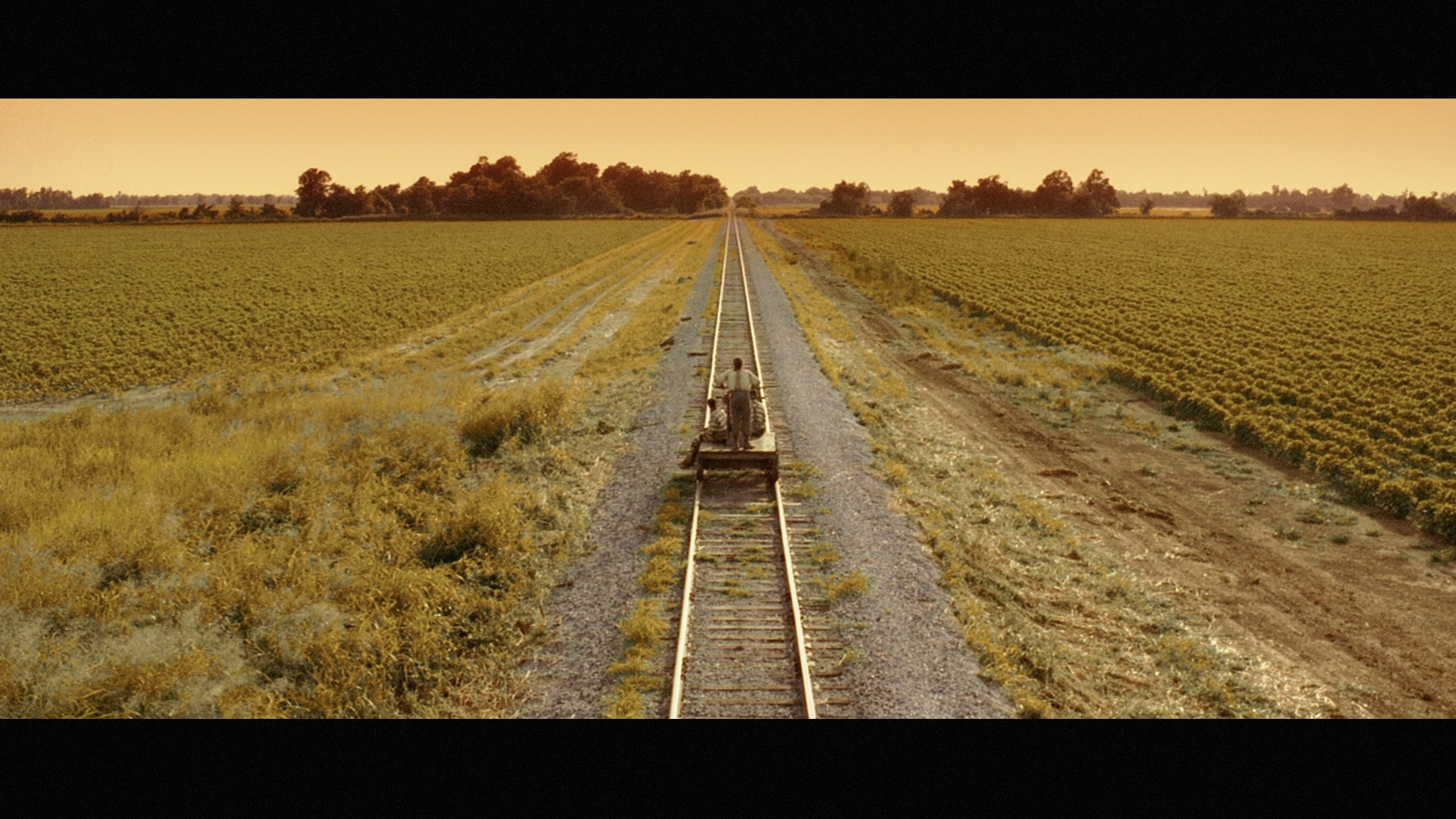 a train traveling through a lush green countryside