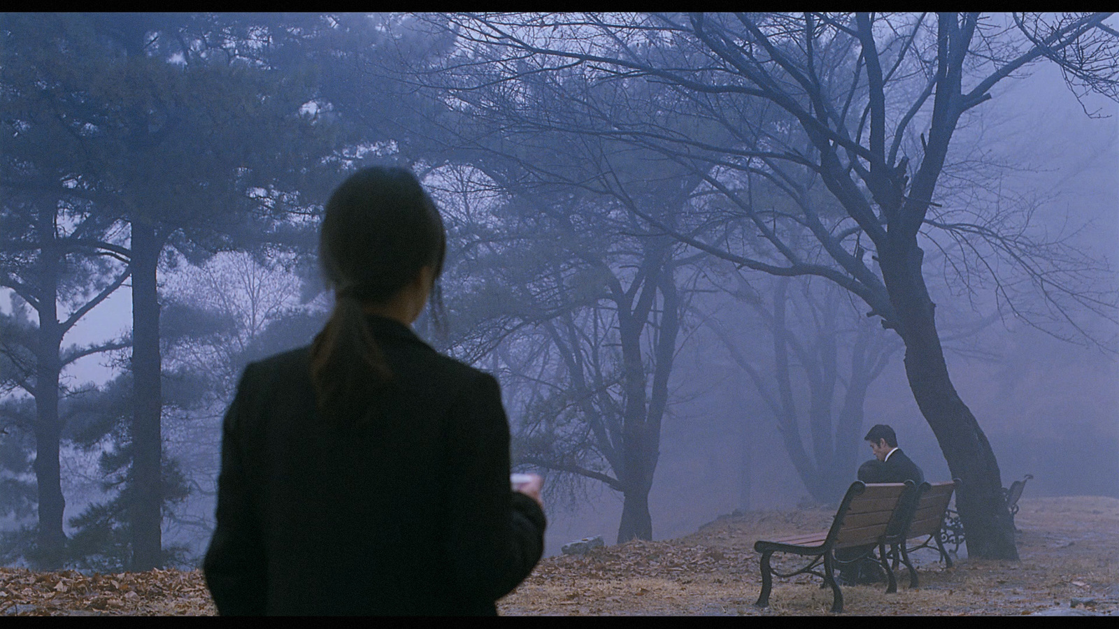 a woman sitting on a bench in a park on a foggy day