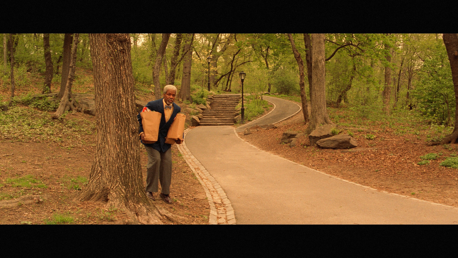 a man standing next to a tree in a forest