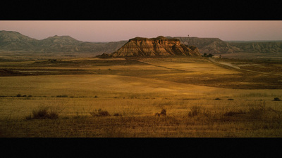 a lone horse in a field with mountains in the background